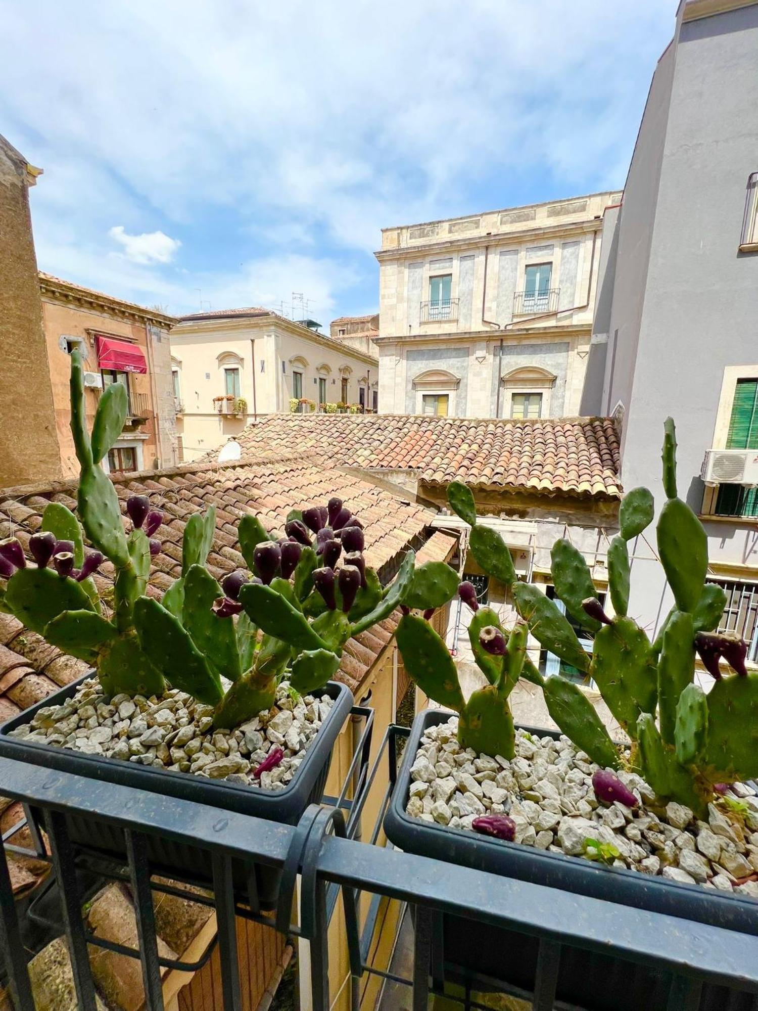 Erasmo 19 Luxury Home Катания Экстерьер фото